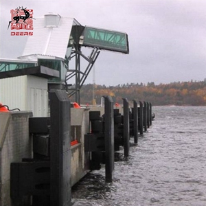 أنا اكتب حالات الحاجز المطاطي (2)